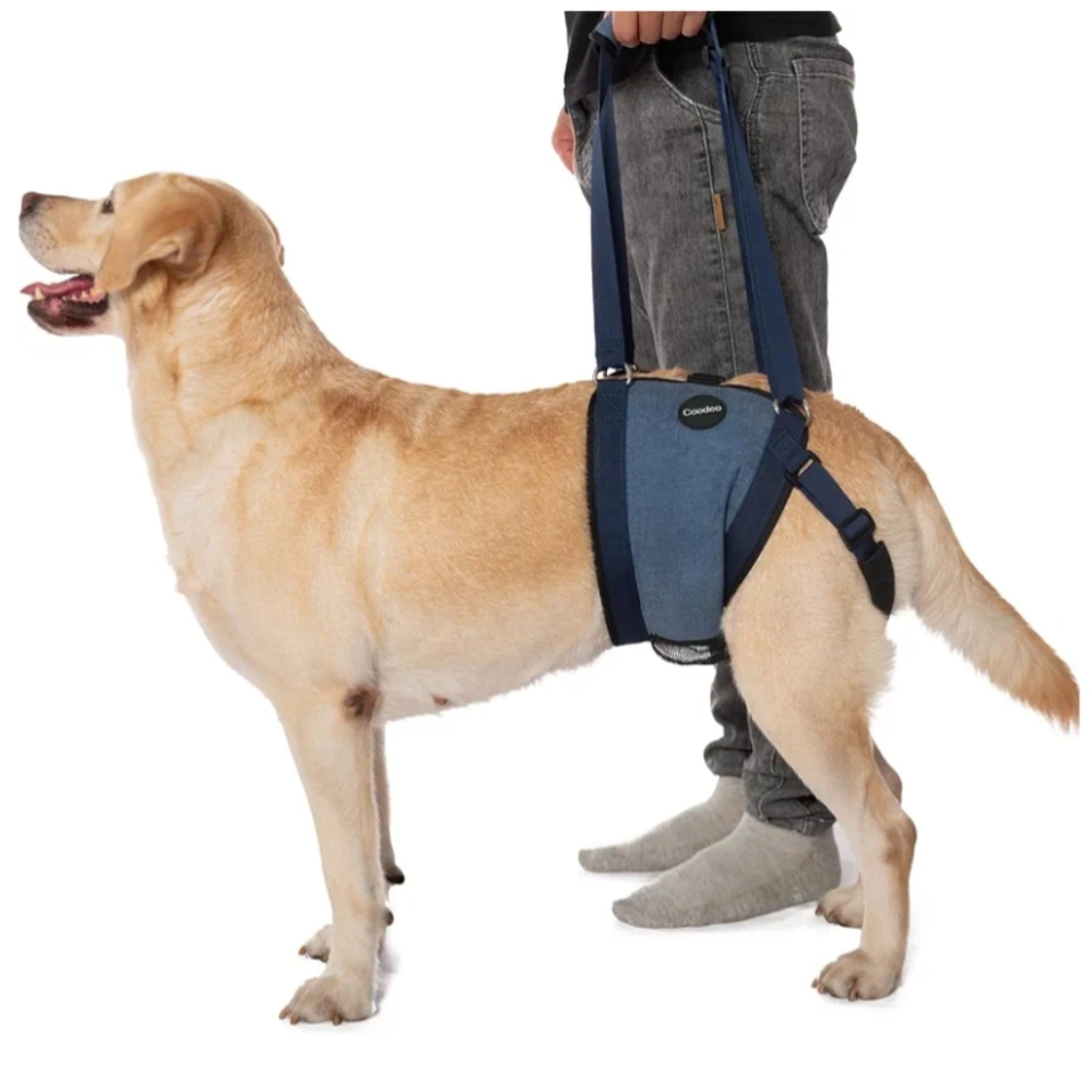 NWT XL Hind Leg Blue Dog Support Harness by Coodeo
